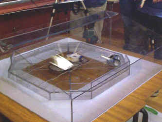 Action in the Arena