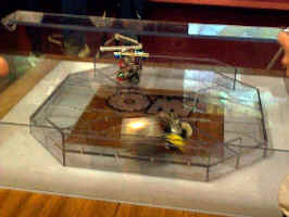 Action in the Arena