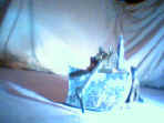 Radio Controlled Shunt